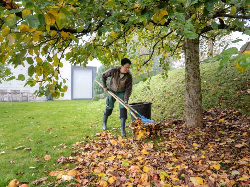 Gartenpflege